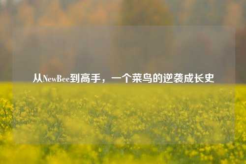 从NewBee到高手，一个菜鸟的逆袭成长史