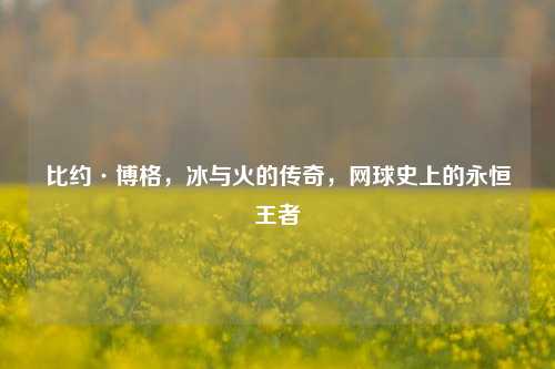 比约·博格，冰与火的传奇，网球史上的永恒王者
