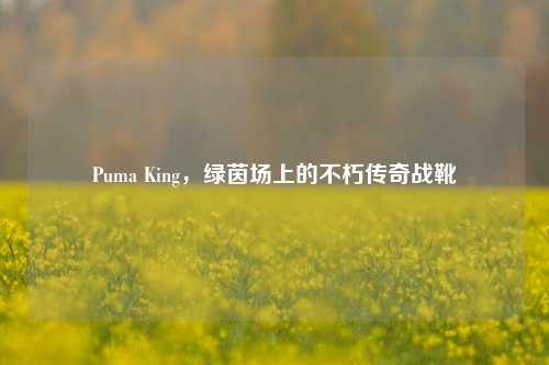 Puma King，绿茵场上的不朽传奇战靴