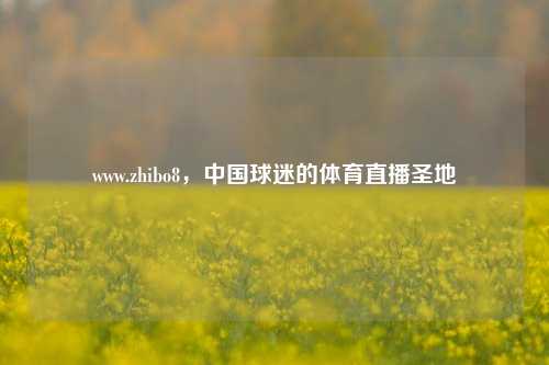 www.zhibo8，中国球迷的体育直播圣地
