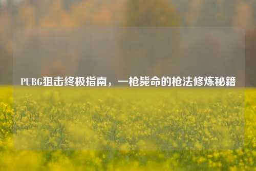 PUBG狙击终极指南，一枪毙命的枪法修炼秘籍