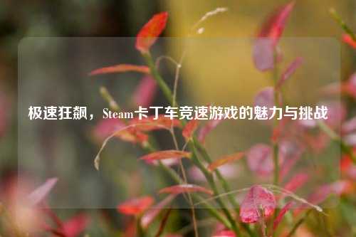 极速狂飙，Steam卡丁车竞速游戏的魅力与挑战