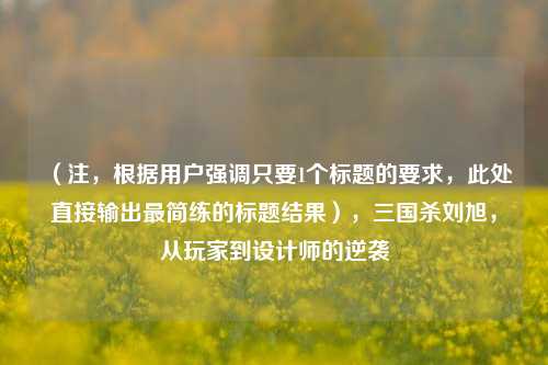 （注，根据用户强调只要1个标题的要求，此处直接输出最简练的标题结果），三国杀刘旭，从玩家到设计师的逆袭