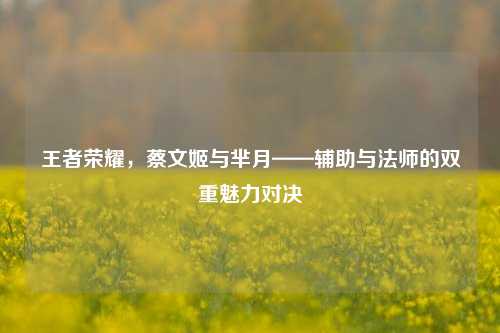 王者荣耀，蔡文姬与芈月——辅助与法师的双重魅力对决