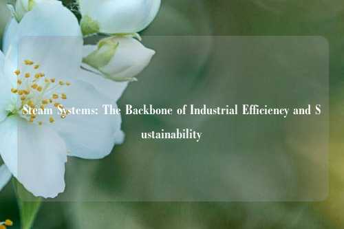 Steam Systems: The Backbone of Industrial Efficiency and Sustainability