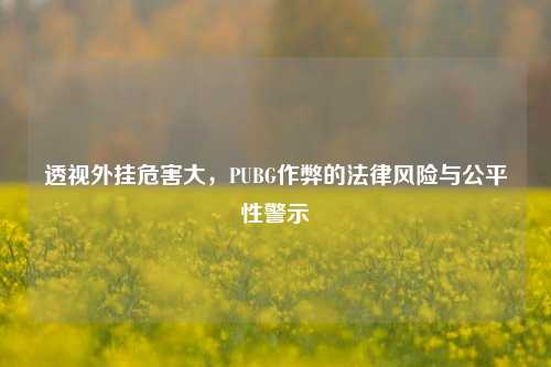 透视外挂危害大，PUBG作弊的法律风险与公平性警示
