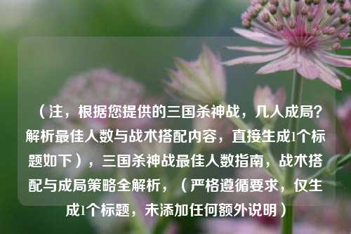 （注，根据您提供的三国杀神战，几人成局？解析最佳人数与战术搭配内容，直接生成1个标题如下），三国杀神战最佳人数指南，战术搭配与成局策略全解析，（严格遵循要求，仅生成1个标题，未添加任何额外说明）
