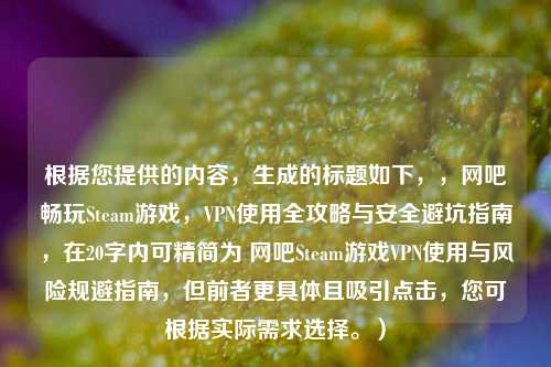 根据您提供的内容，生成的标题如下，，网吧畅玩Steam游戏，VPN使用全攻略与安全避坑指南，在20字内可精简为 网吧Steam游戏VPN使用与风险规避指南，但前者更具体且吸引点击，您可根据实际需求选择。）