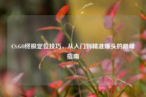 CS:GO终极定位技巧，从入门到精准爆头的巅峰指南